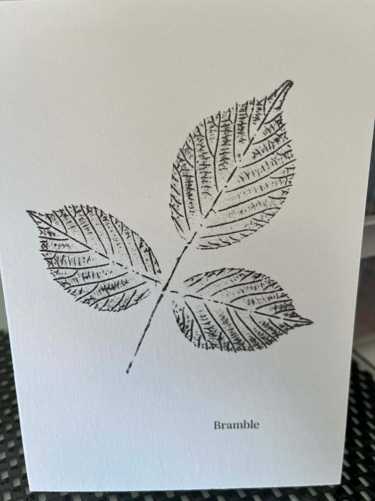 Postcard Prints - Bramble
