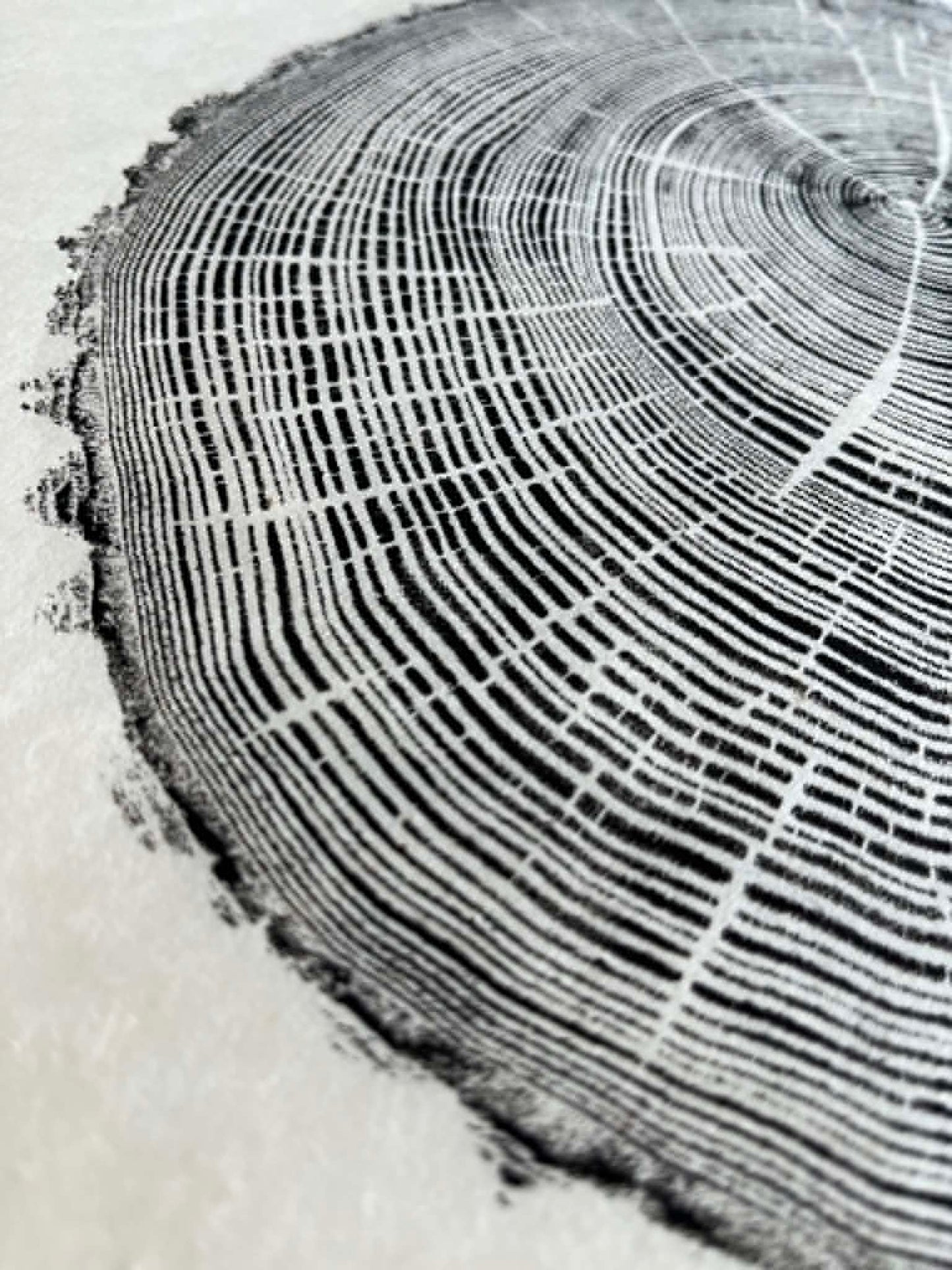 Life Size Original Tree Ring Print - Dad's Ash