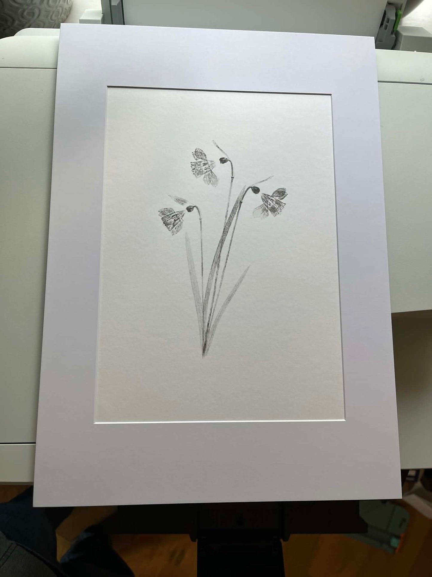 Small Print - Daffodil