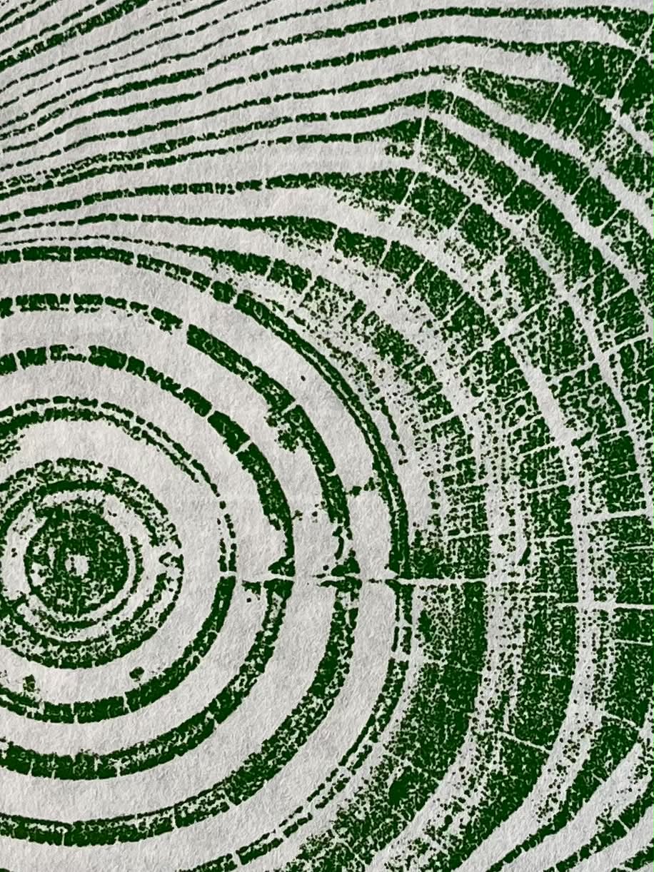 Life Size Original Tree Ring Print - Green Pine