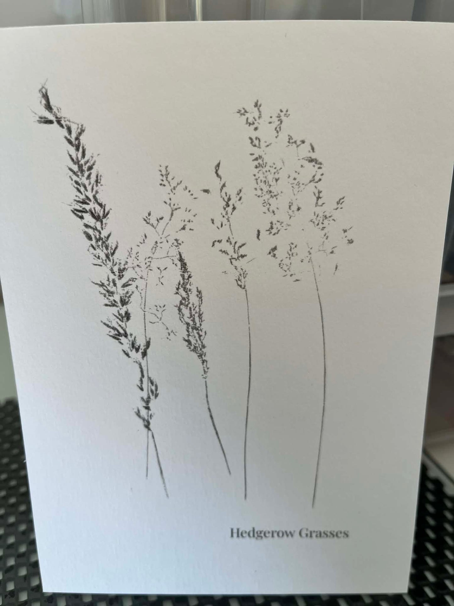 Postcard Prints - Hedgerow Grasses #2