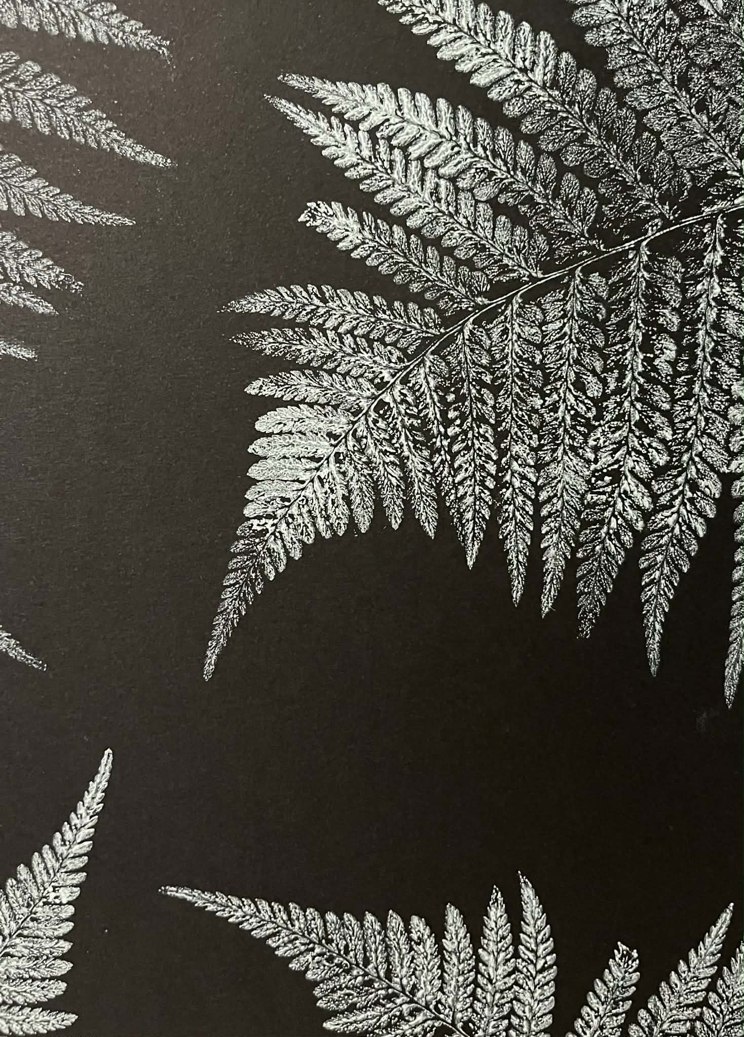 Original White Ink on Black Paper Designs