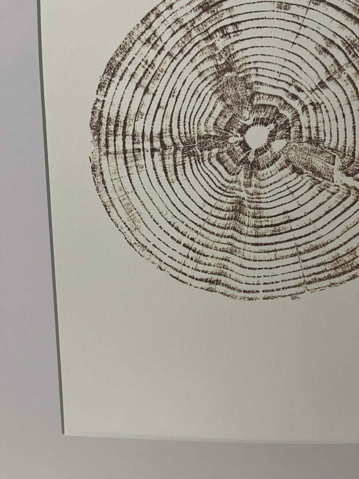 Monkey Puzzle Tree Ring (Medium Print of Original)