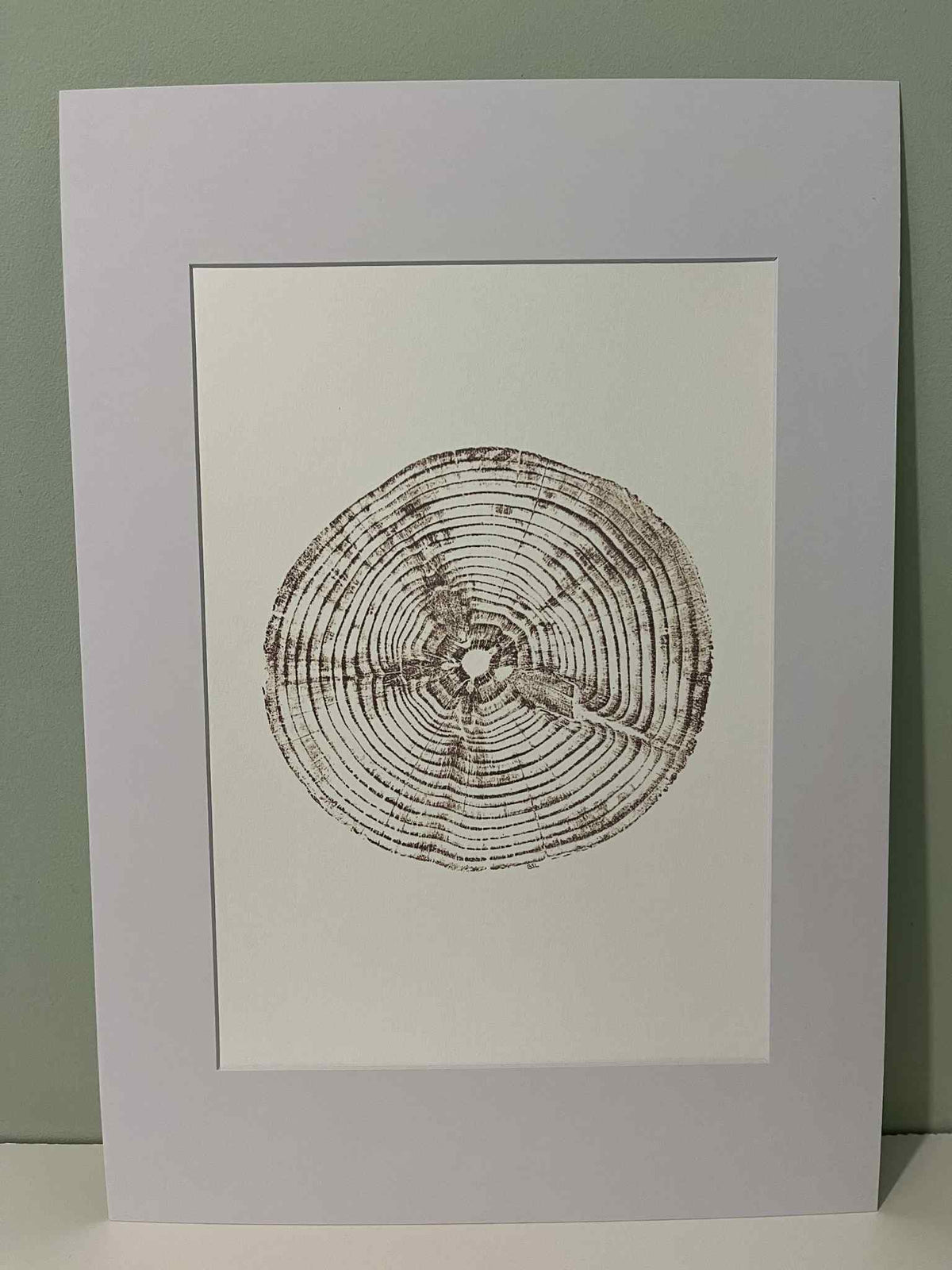 Monkey Puzzle Tree Ring (Medium Print of Original)
