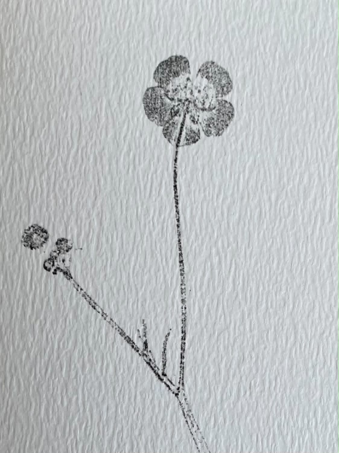 Buttercup Card