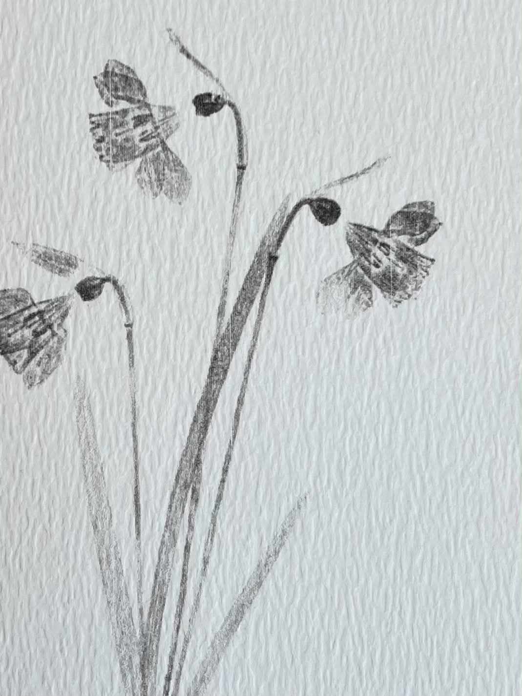 Daffodil Card