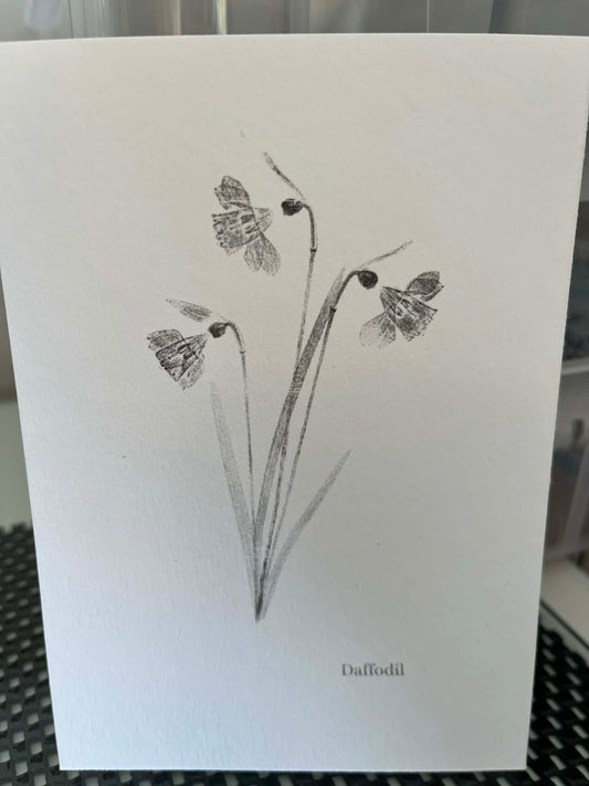 Postcard Prints - Daffodil