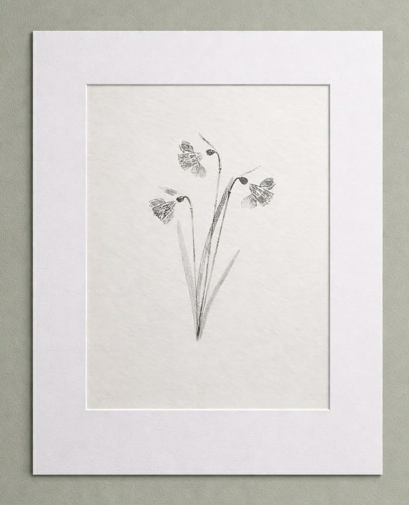 Small Print - Daffodil