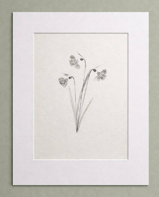 Small Print - Daffodil