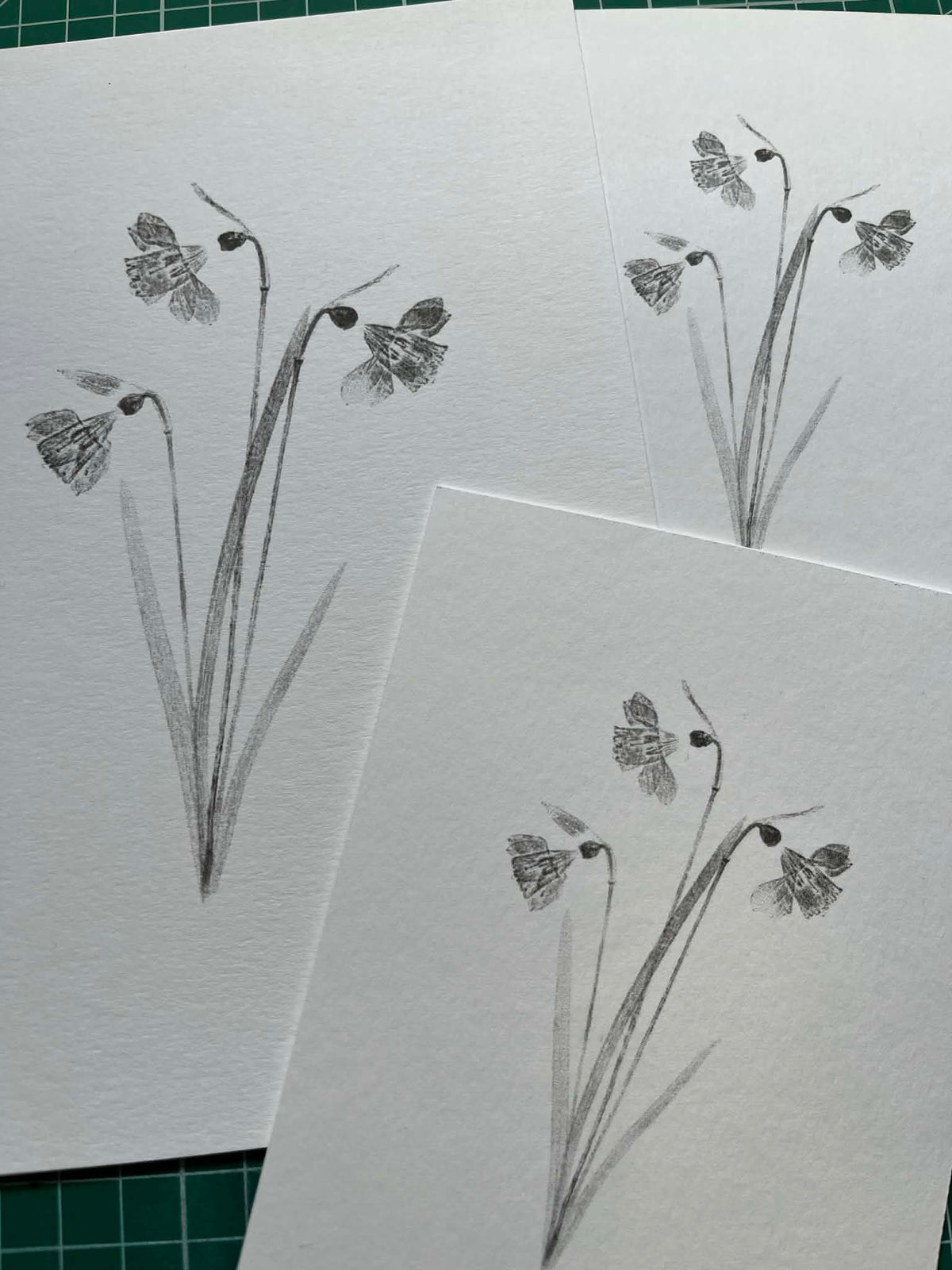 Daffodils (Medium Print of Original)