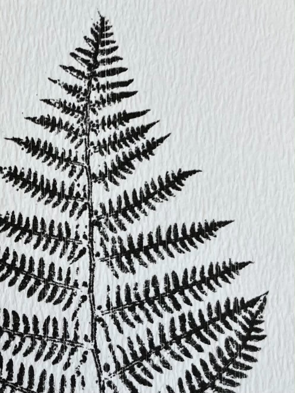 Fern Card
