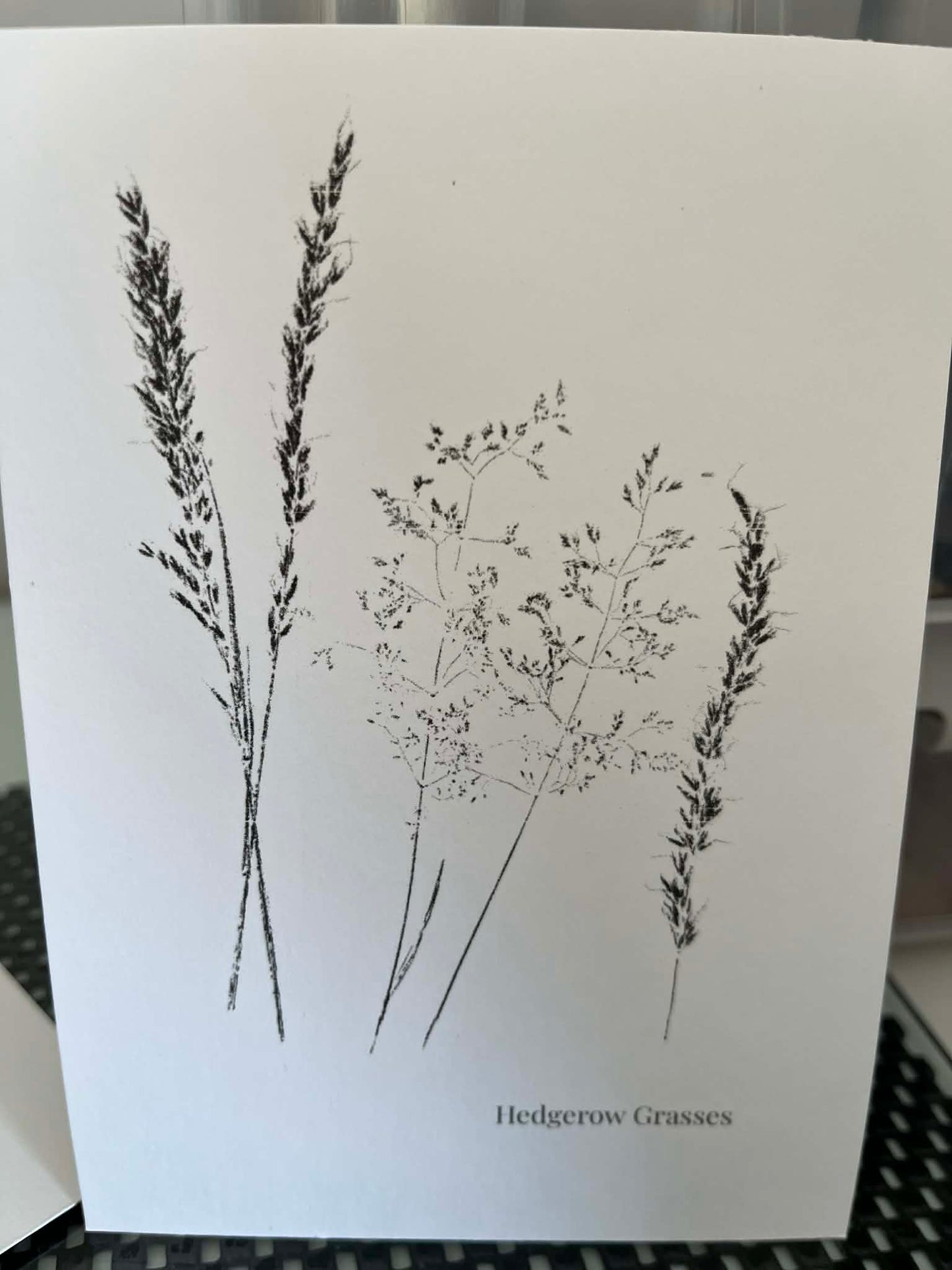 Postcard Prints - Hedgerow Grasses #1