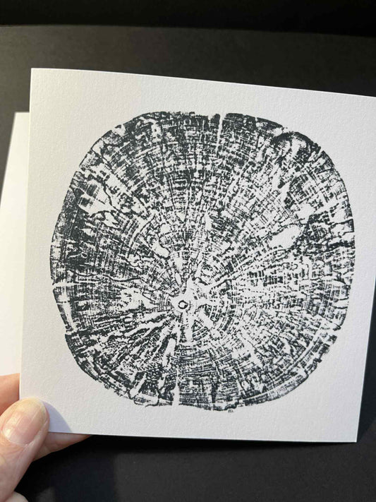 Tree Ring Greetings Card - Maple