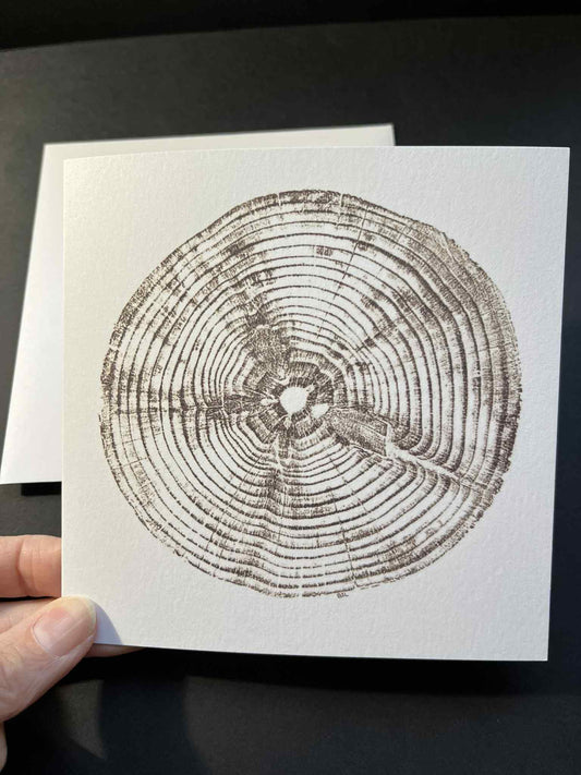 Tree Ring Greetings Card - Brown Monkey Puzzle
