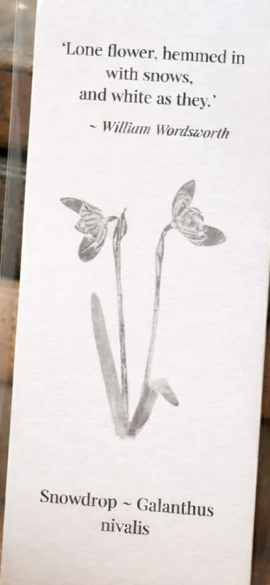 Bookmark - Snowdrop