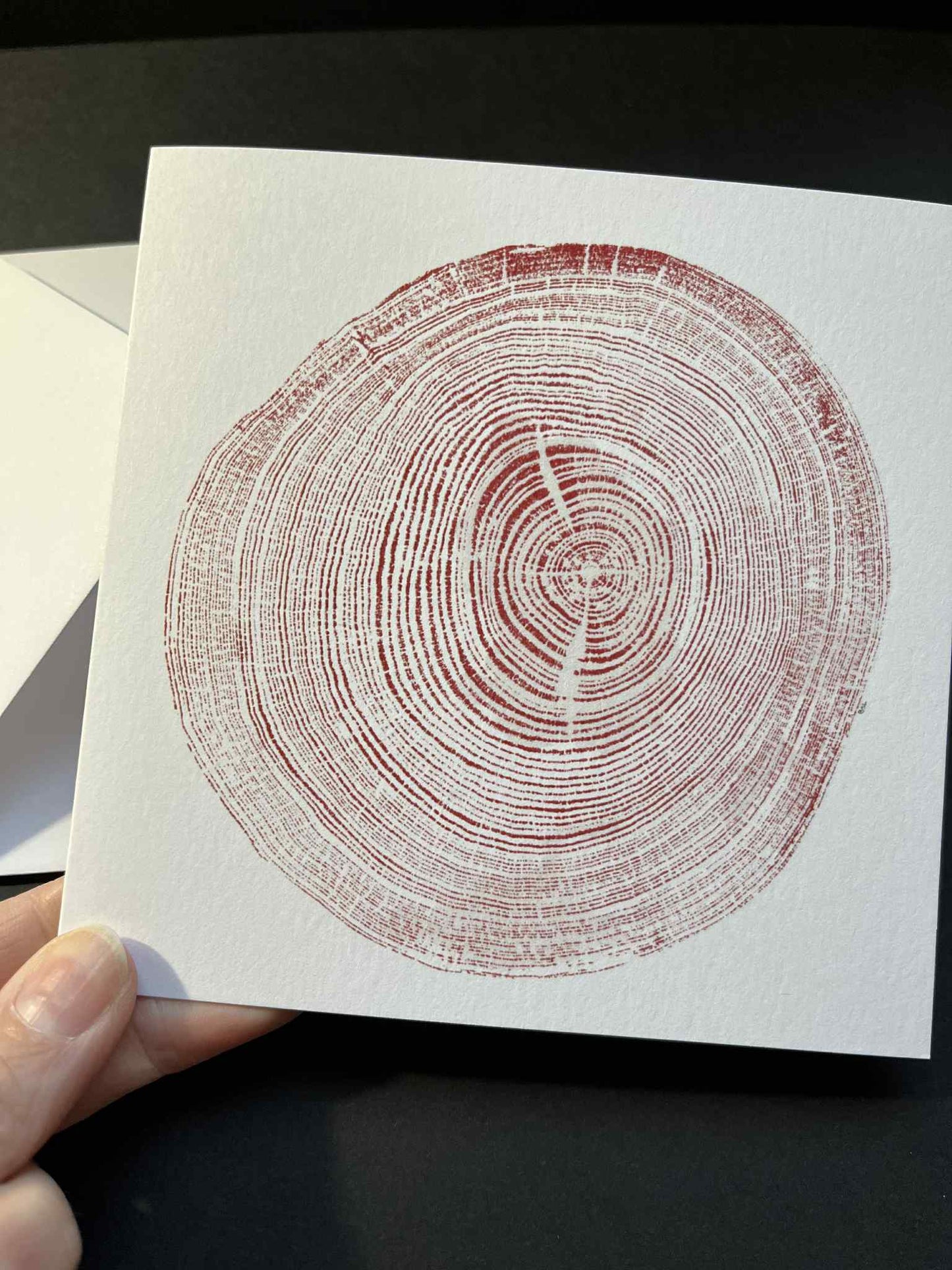 Tree Ring Greetings Card - Red Sycamore