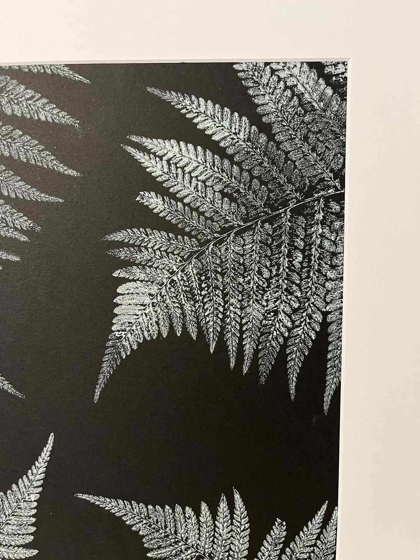 Fern Leaf Pattern Original Print - White on Black (Large)