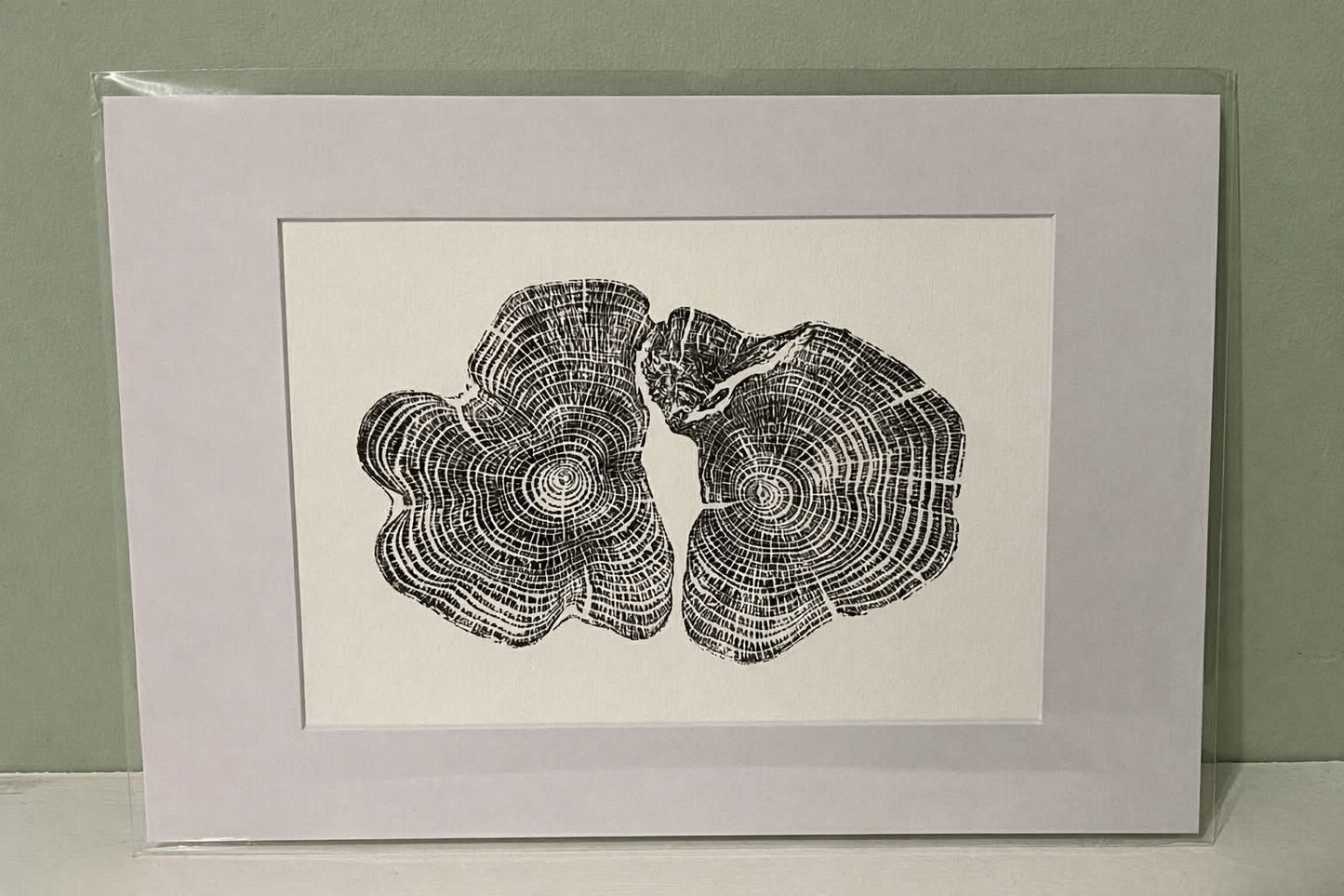 Tree Ring Art Prints - Yew