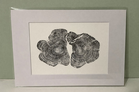 Tree Ring Art Prints - Yew