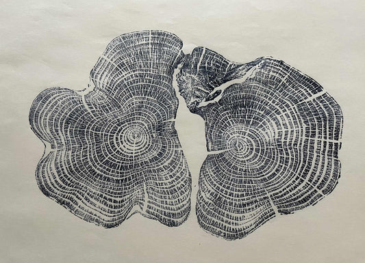 Life Size Tree Ring Original - Yew