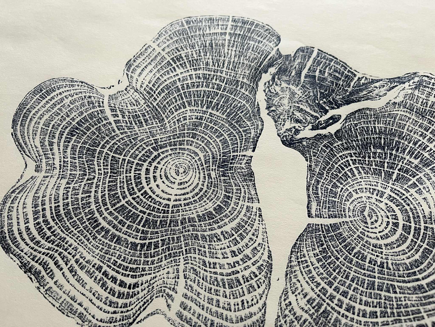 Life Size Tree Ring Original - Yew #1