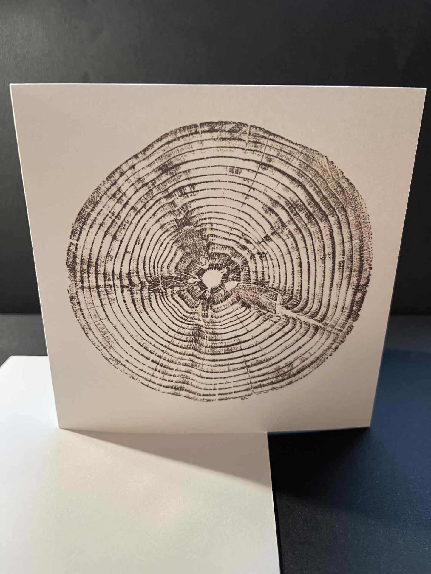 Tree Ring Greetings Card - Brown Monkey Puzzle