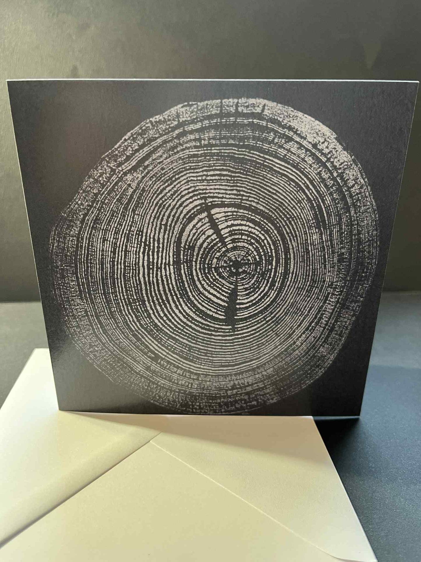Tree Ring Greetings Card - Silver Sycamore
